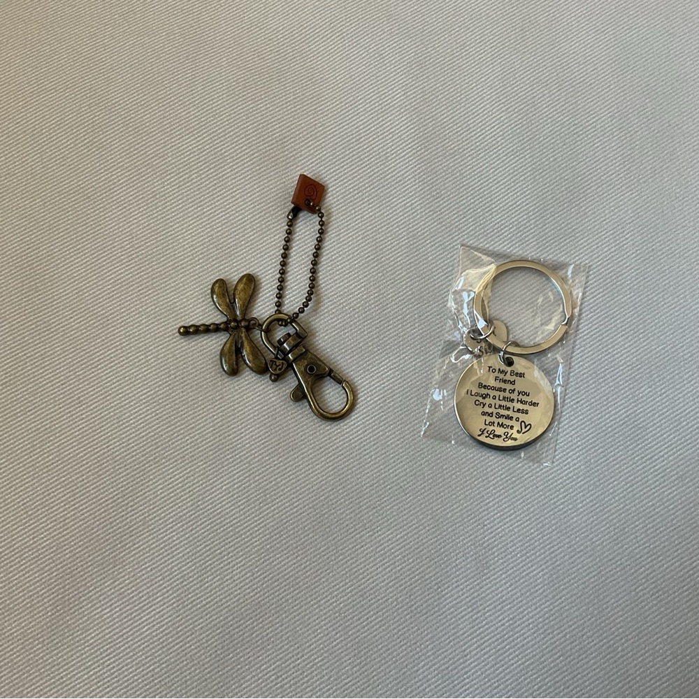 Set of Two! Dragonfly Keychain and Inspirational Best Friend Keyring